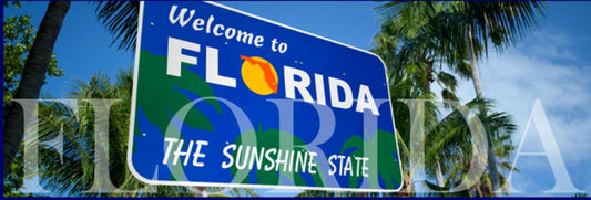 Should You Get A Florida All-Lines Adjuster License?