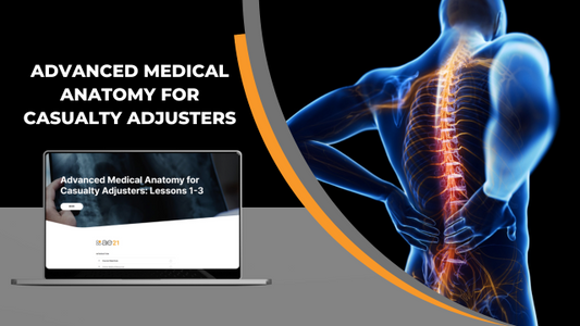 Advanced Medical Anatomy for Casualty Adjusters - FL