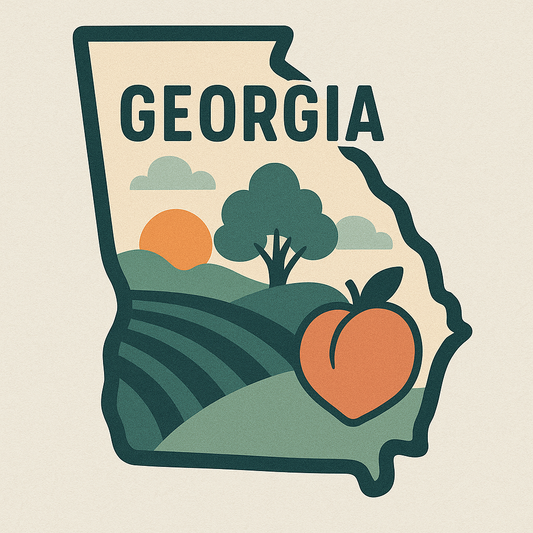 Georgia CE Bundle