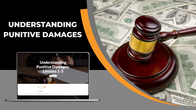 Understanding Punitive Damages - FL – AE21 Incorporated